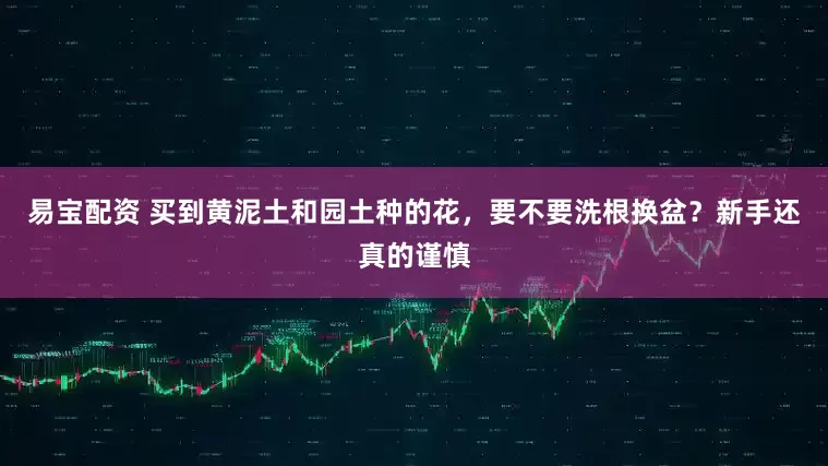 易宝配资 买到黄泥土和园土种的花，要不要洗根换盆？新手还真的谨慎