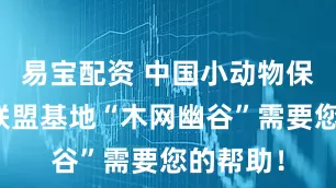 易宝配资 中国小动物保护协会联盟基地“木网幽谷”需要您的帮助！