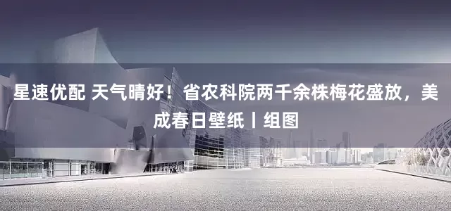 星速优配 天气晴好！省农科院两千余株梅花盛放，美成春日壁纸丨组图