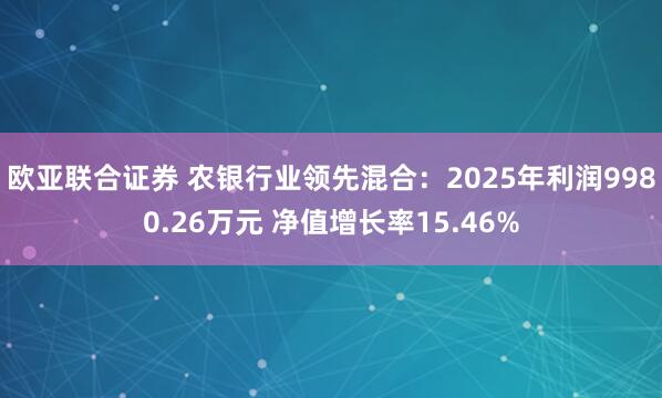 欧亚联合证券 农银行业领先混合：2025年利润9980.26万元 净值增长率15.46%